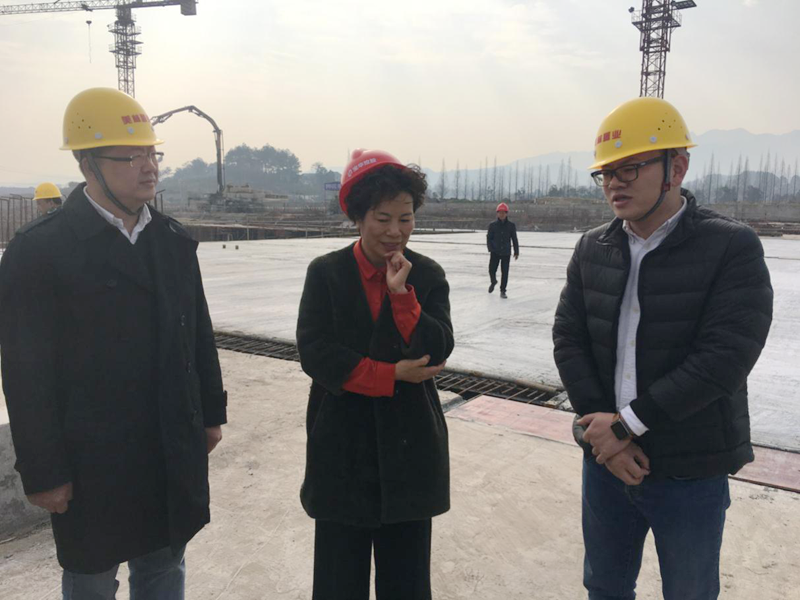 麗水市委常委、宣傳部長(zhǎng)任淑女調(diào)研松陽美林·南城壹號(hào)項(xiàng)目