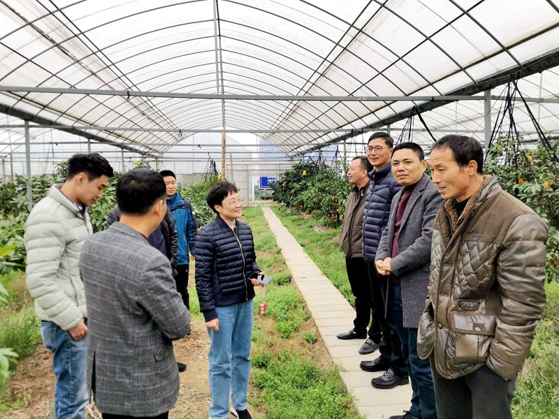 1606965746726599.jpg 3_副本.jpg