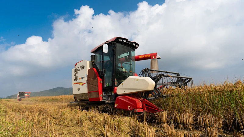 全力以赴奪取秋糧豐收，浙農這樣做&rarr;